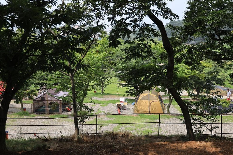 고래숲관광농원 시설 사진 5