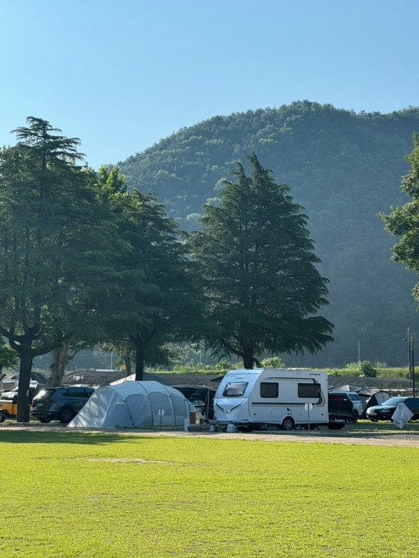 대구 근교 고령 안림 딸기마을 캠핑장 후기