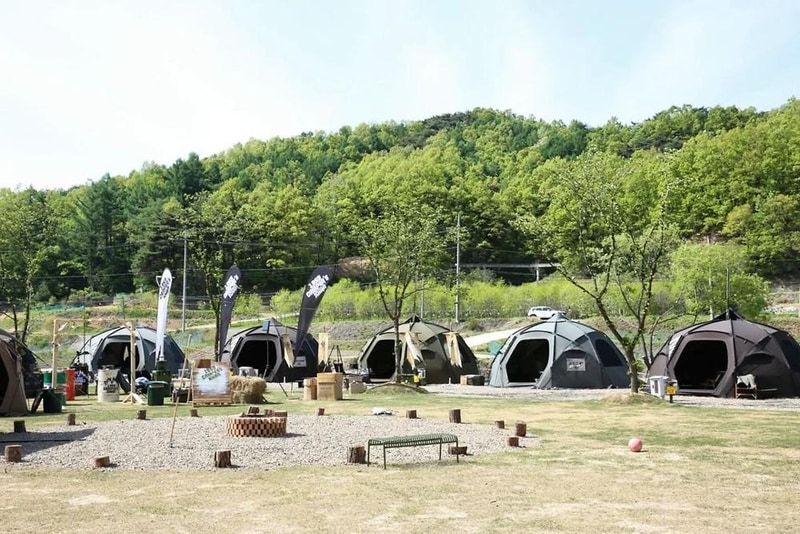 캠핑에 바나나 시설 사진 10