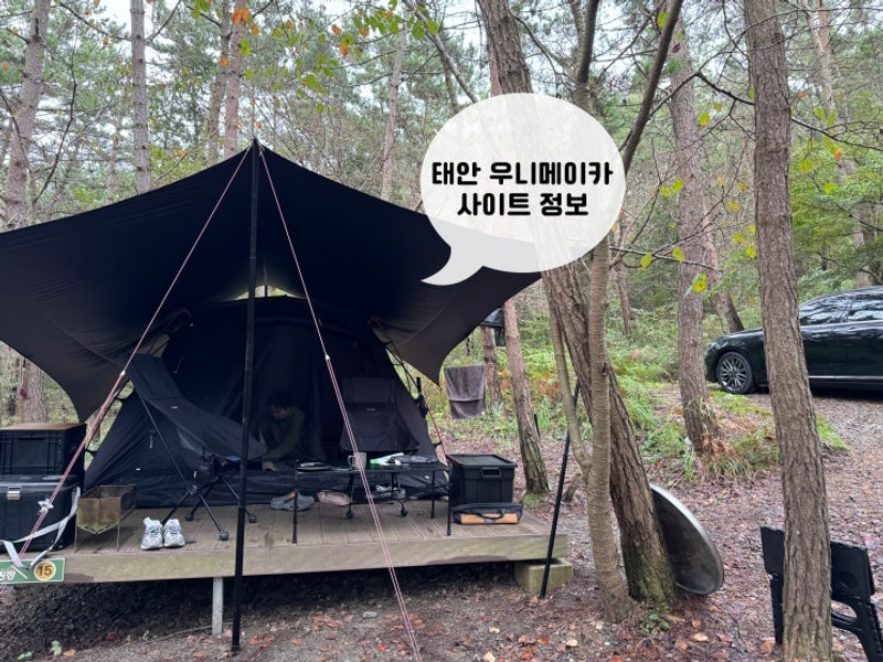태안 우니메이카 캠핑장 사이트 정보 매점 후기