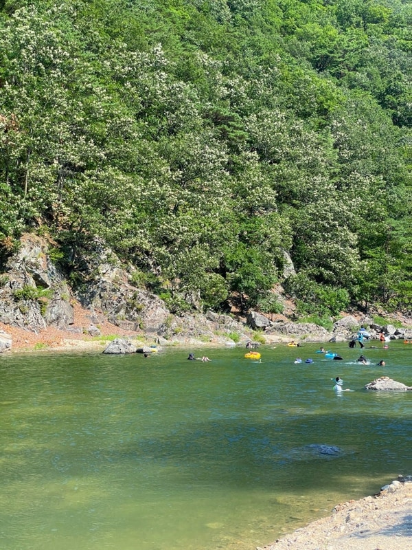 [울진] 불영계곡 캠핑장 우연히 찾은 계곡