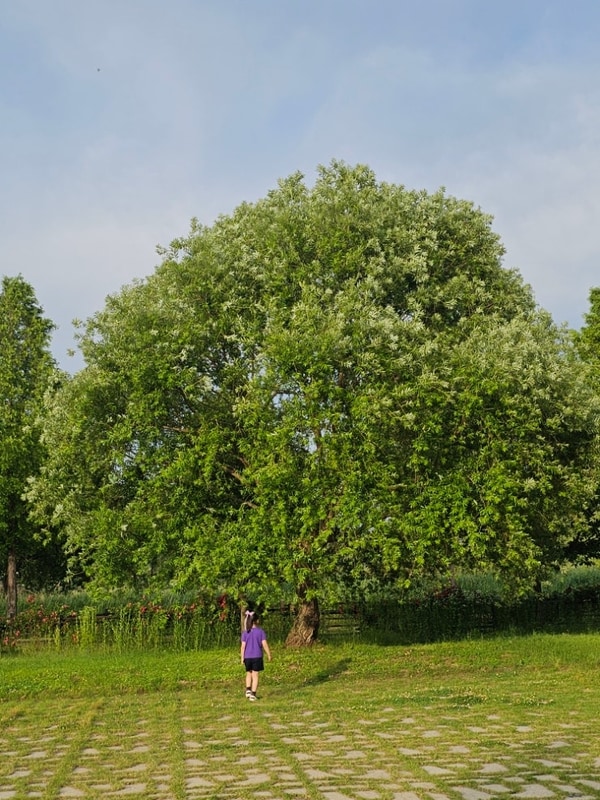 구미캠핑장 B2 초여름 날씨 아이랑 캠핑일기