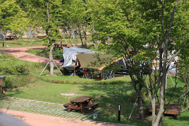 홍천강 자라바위 오토캠핑장 시설 사진 17