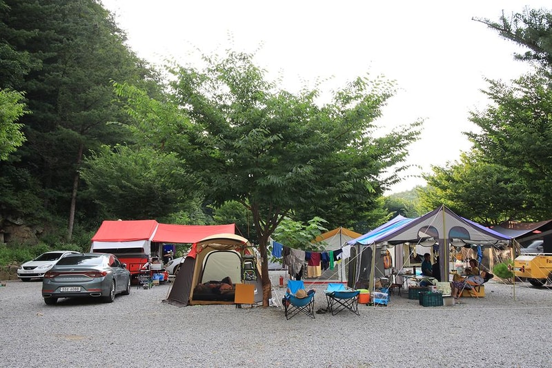 내리계곡 솔밭캠핑장 시설 사진 7