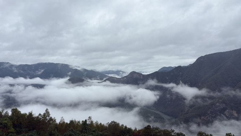 [정선] 동강전망휴양림 오토캠핑장