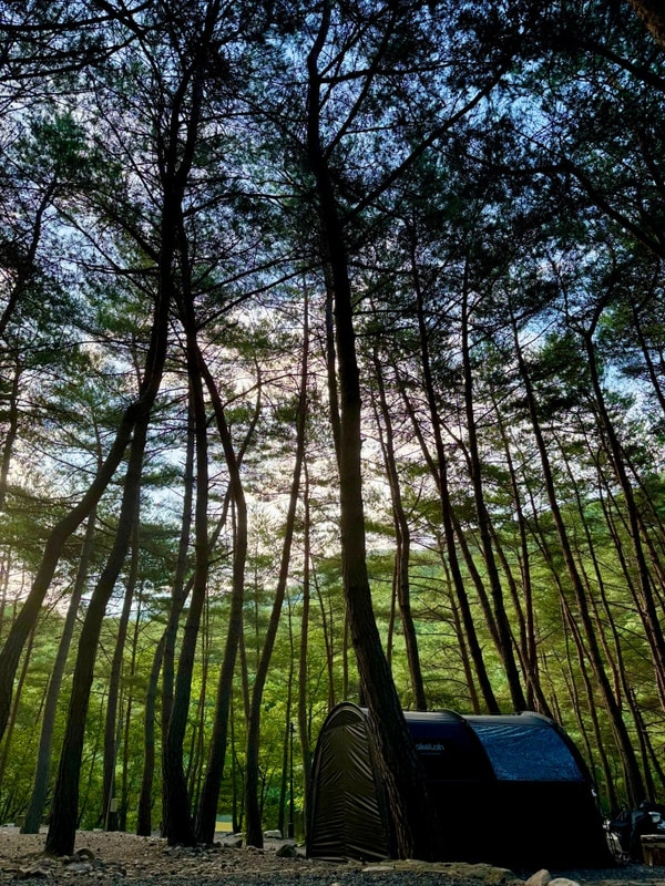 여름에 계곡 물놀이 가능한 청도 수리덤캠핑장