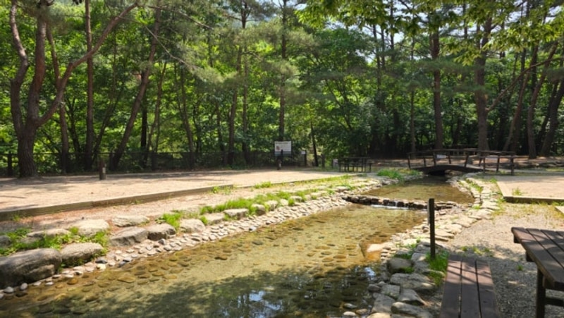 제천여행)월악산 국립공원 용하야영장 이용 후기