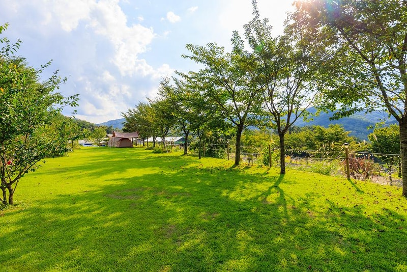 왕산골 관광농원 시설 사진 15