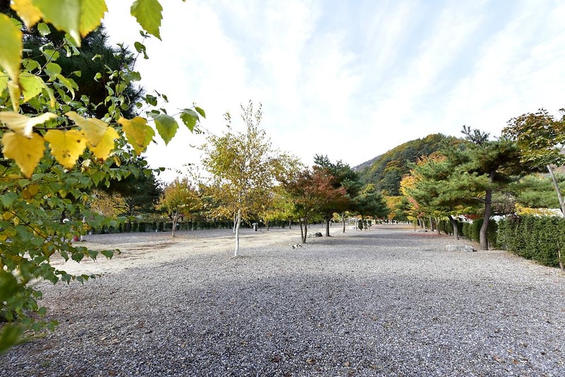 솔바람캠핑장 시설 사진 8