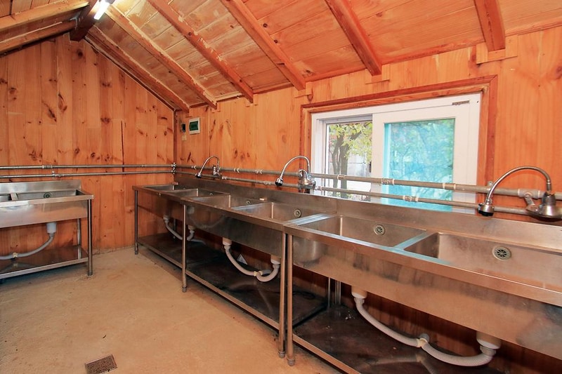 THATS CAMPING 횡성자연휴양림야영장 시설 사진 10