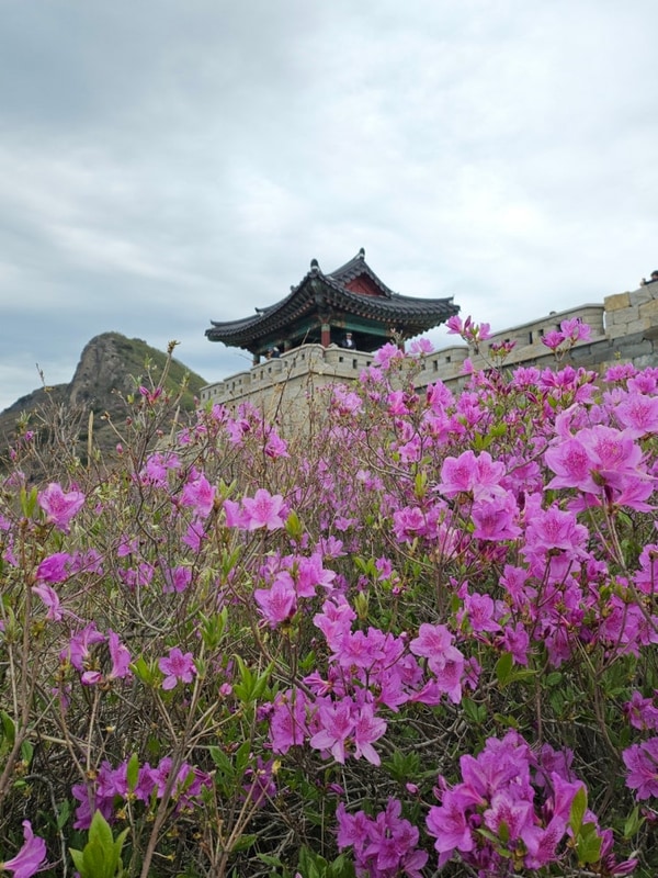 산청여행 - 다솔펜션/수선사/황매산 철쭉축제/황매산캠핑