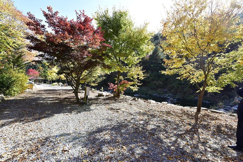 알파고글램핑 시설 사진 2