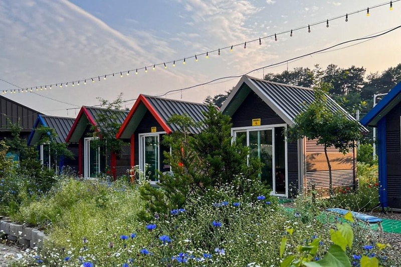 소풍 시설 사진 11