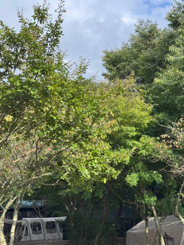 담양마루한캠핑장