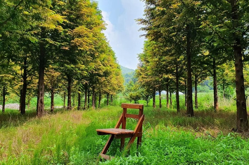 더힐링식물원 야영장 시설 사진 2