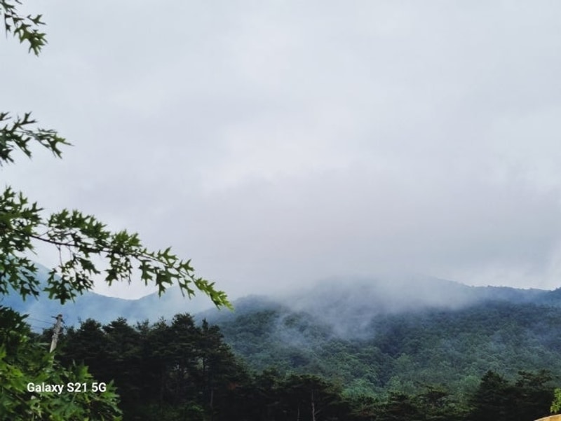 문경 가은 해솔 캠핑장