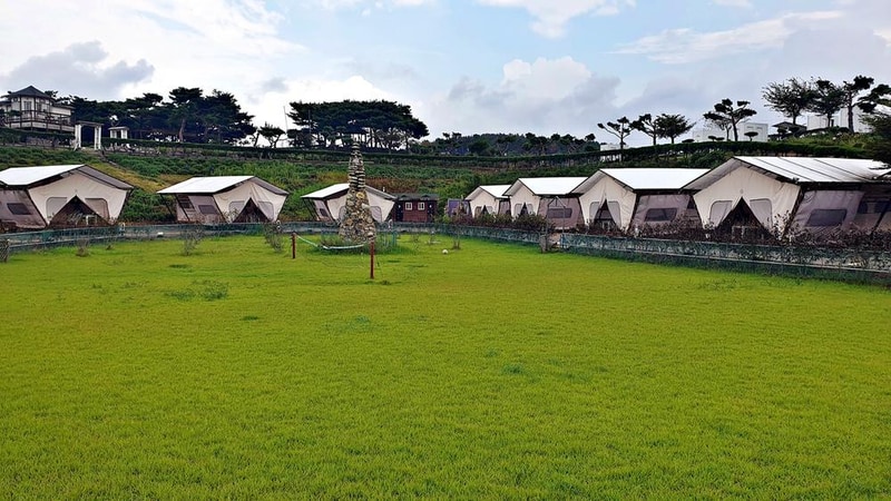 태안 안면도 비비애견동반캠핑장 시설 사진 10