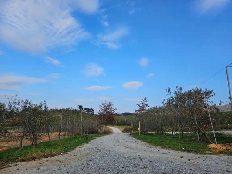 #8 예산 팜앤투어 캠핑장 (24.11.16)