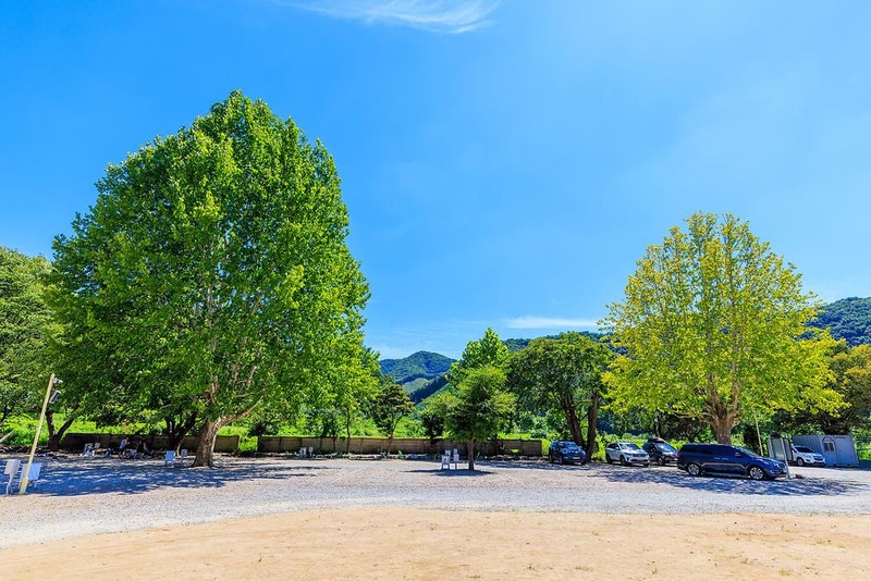 솔부엉이 캠핑장 시설 사진 15