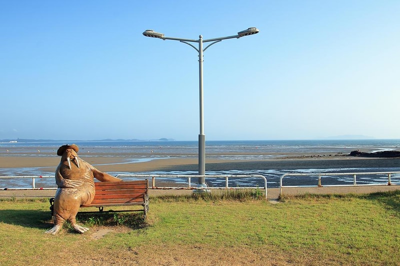블루오션리조트, 오션파크 시설 사진 18