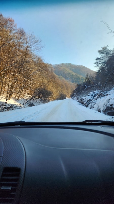 크리스마스 설중캠핑 양평숲 비룡캠핑장