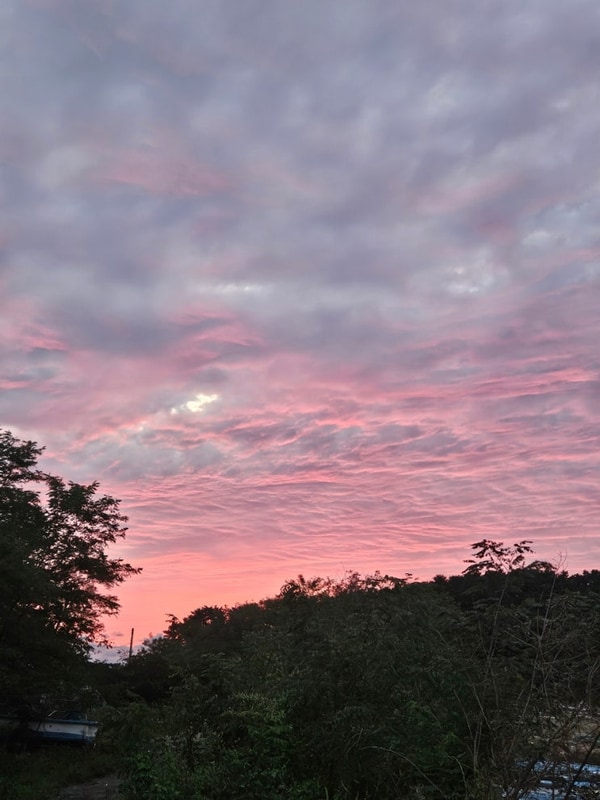 6. 서천 별빛갯벌 캠핑장