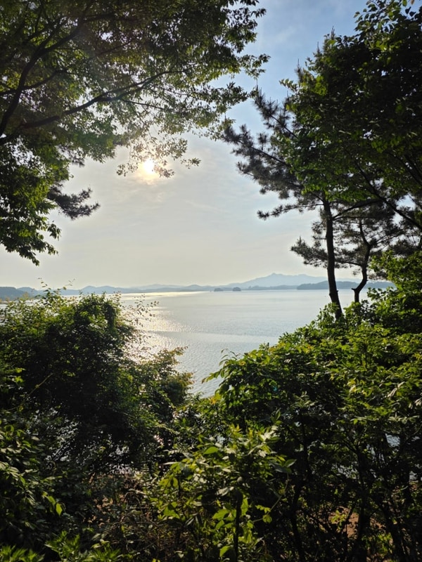 태안 청산리오토캠핑장 1박 2일 반려견과 함께.