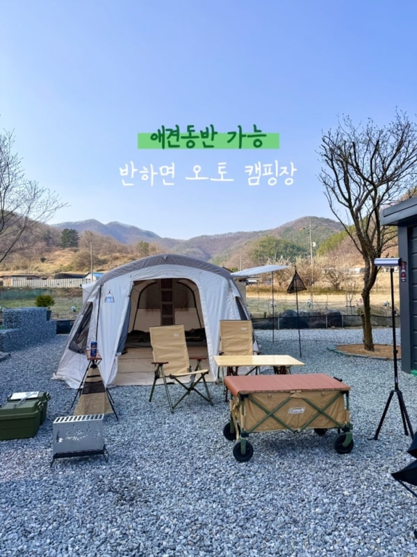 애견동반 키즈캠핑장 반하면 오토캠핑장 재방문 후기