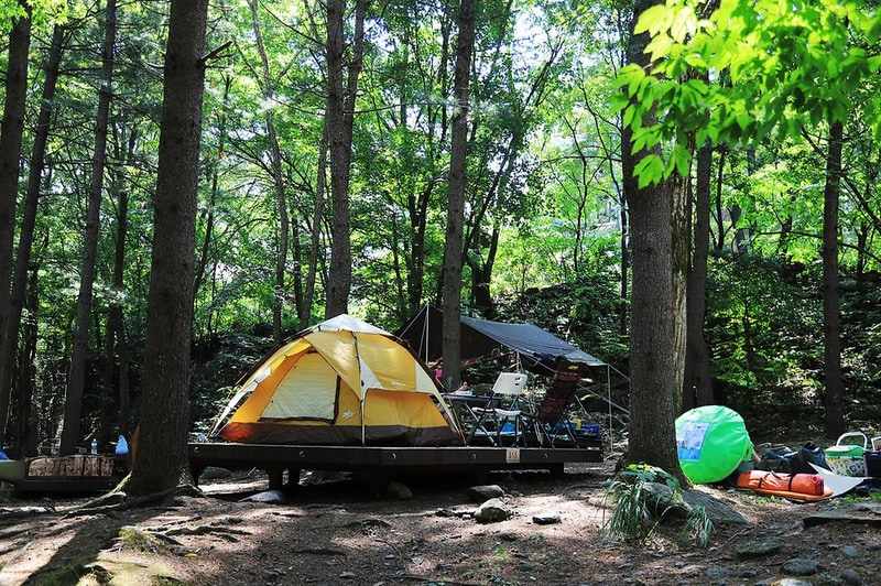국립용대자연휴양림 시설 사진 5