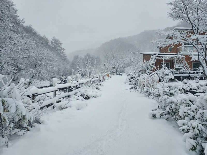 횡성산울림오토캠핑장 시설 사진 9