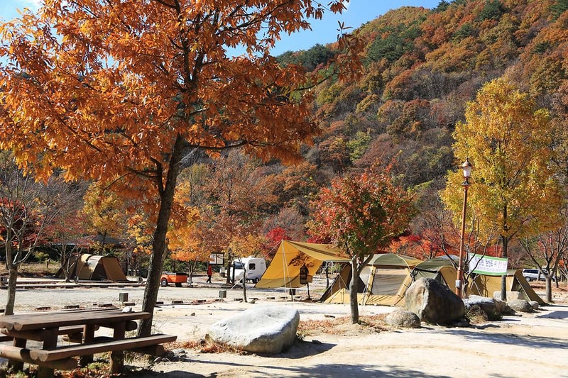 달궁자동차야영장 시설 사진 19