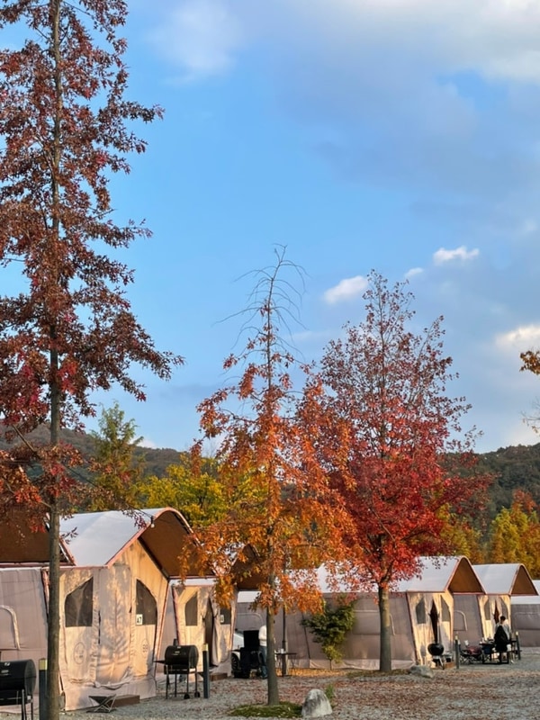 선선한 가을 저녁 공주 정안글램핑 이 감성에 빠져서 시간 가는...
