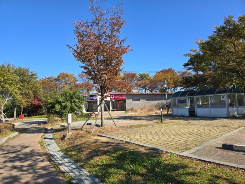 [단풍여행2/4] 괴산 괴강국민여가캠핑장 차박 단풍캠핑(11.2)