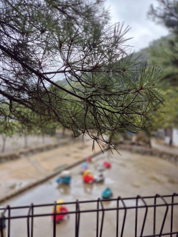 원더캠프 광탈 위로 캠핑, 천안 아우내관광농원캠핑장 일반 06