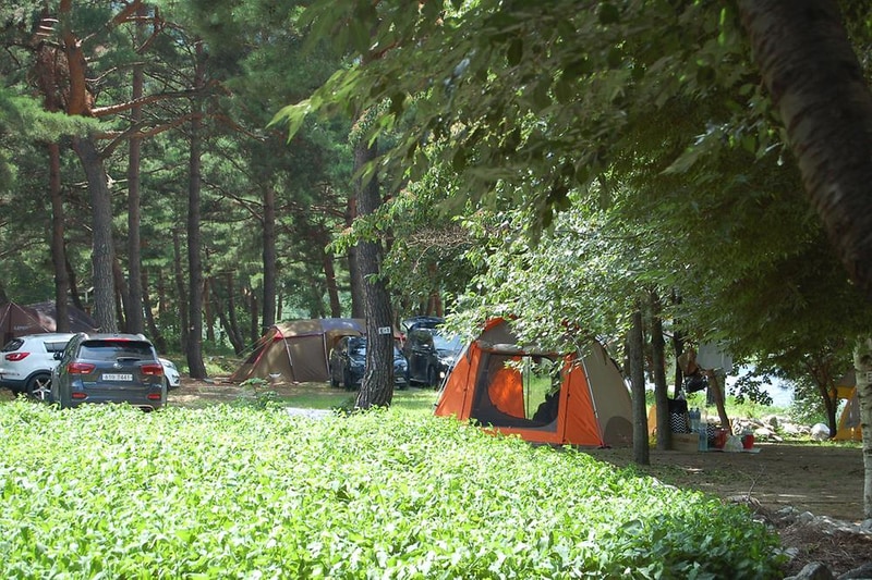 돌배야영장(제2야영장) 시설 사진 1