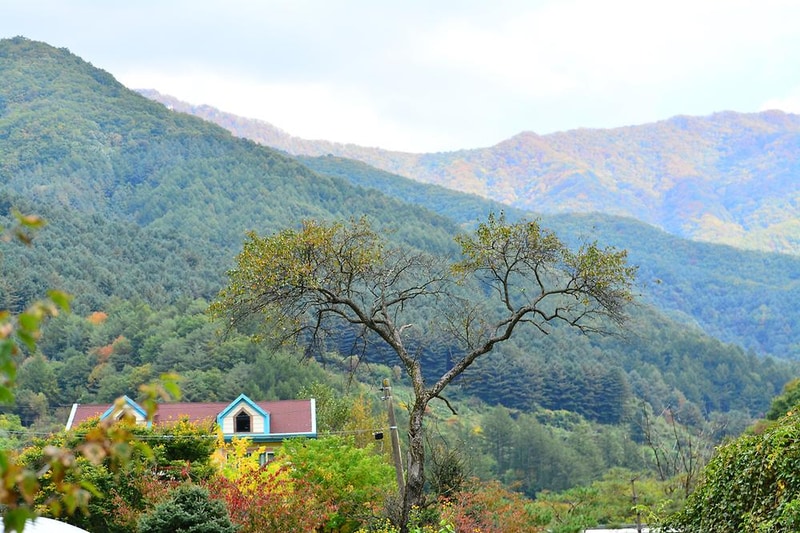 자우림캠핑장 시설 사진 3