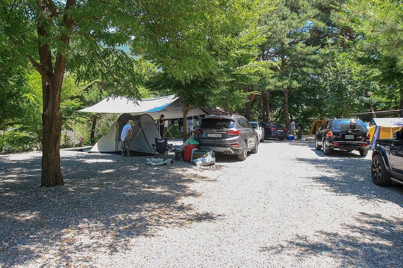 명돈골 캠핑장 시설 사진 1