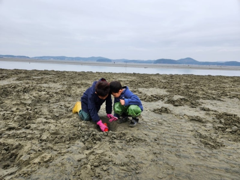 태안 도담오토캠핑장 후기 (feat. 맛조개 체험)