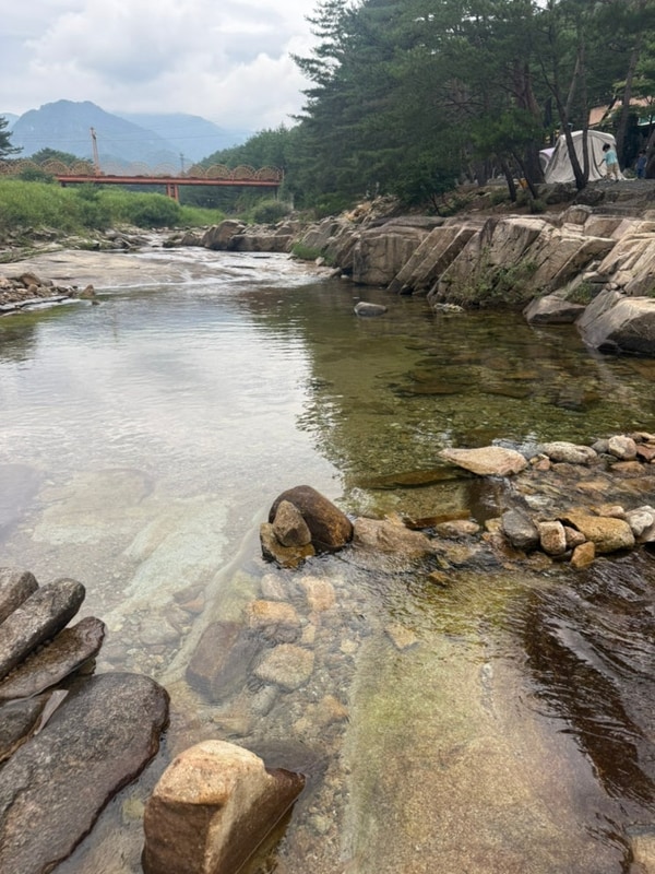 영월 숲속의 아침 캠핑장, 법흥계곡 물놀이, 캠핑요리 추천