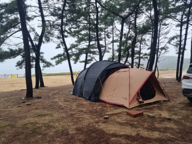태안 석갱이 오토캠핑장 2박 3일 전세..