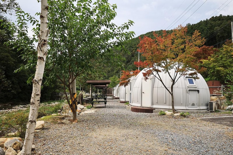 메기의 추억 시설 사진 1