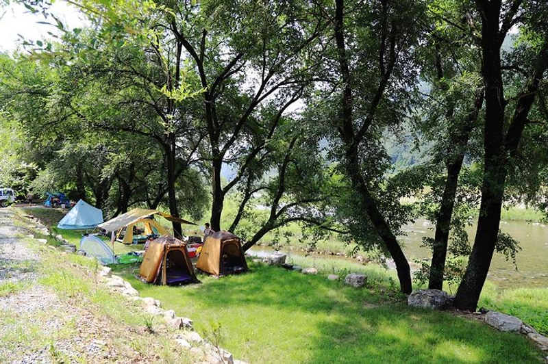 동강아름캠프 대표 사진