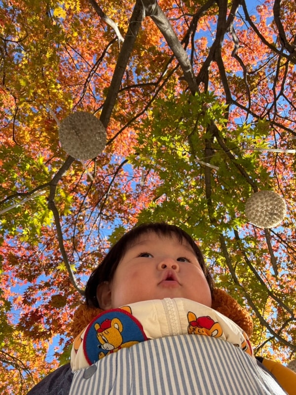 양주 잼잼 글램핑&카라반 11개월 (감기걸린) 아가랑...