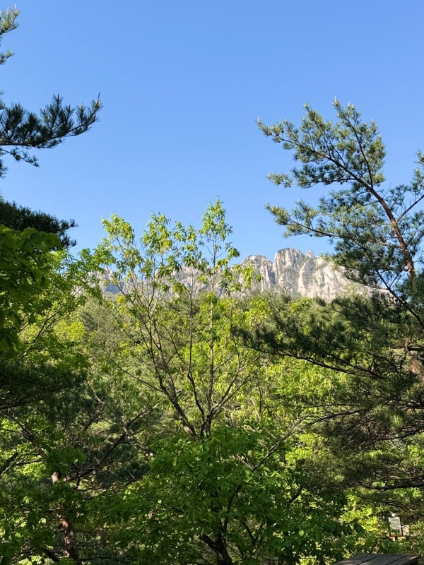 고성 울산바위 뷰를 볼 수 있는 캠핑느루_N9 자리