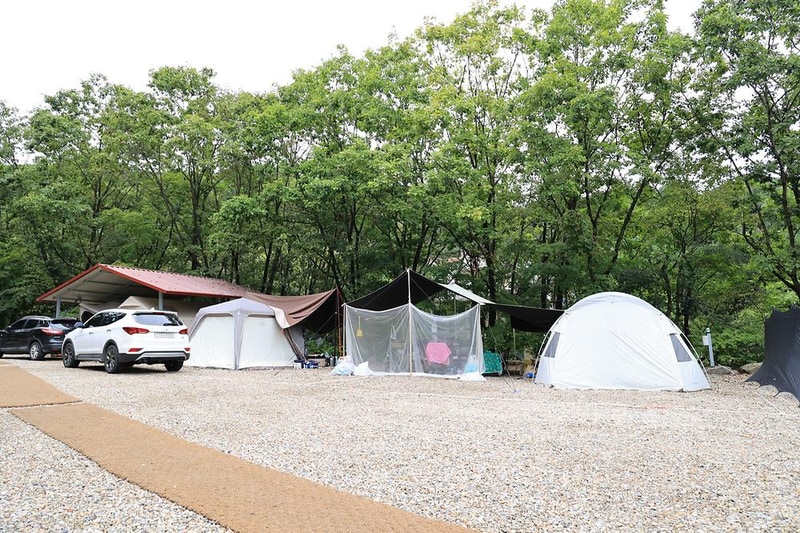 평창바샘캠핑장 시설 사진 17