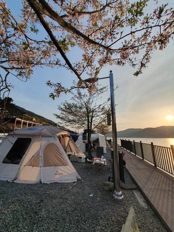 경남 고성 놀터캠핑장 진심후기 (갯벌체험 캠핑장)