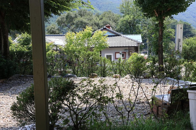 동강 산수 캠핑장 시설 사진 9