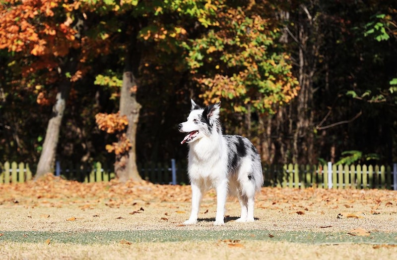 타이니포춘 시설 사진 3