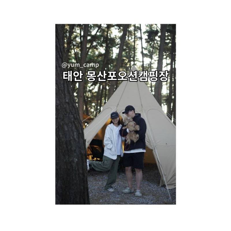 [태안] 몽산포오션캠핑장 /애견동반,일몰,바다캠핑장