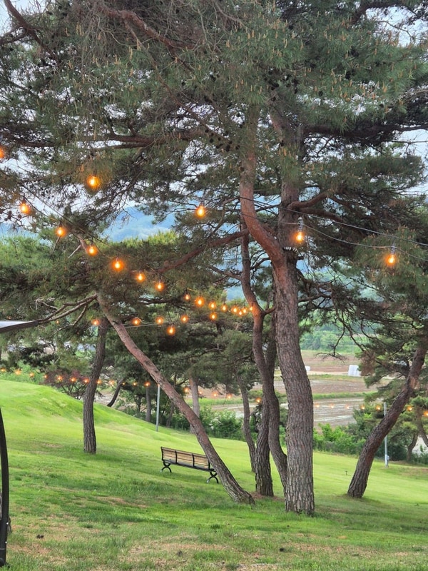 가능] 깔끔하고 프라이빗 한 청주 초정 힐링 캠핑장 내돈내산 후기